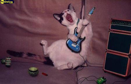 rockchat